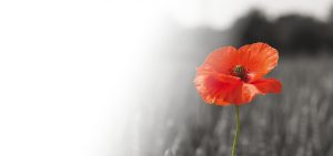 Meghívó – November 11-én az első világháborúban elesettekre emlékezünk