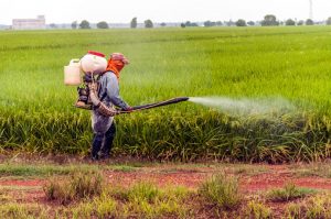 Lejárt növényvédő szerek begyűjtése – Felhívás
